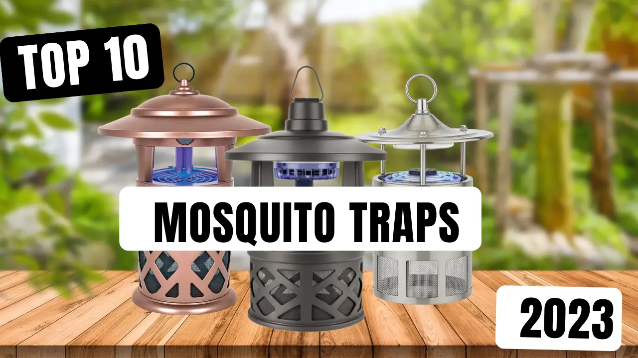 TOP 10 Most Popular Mosquito Traps